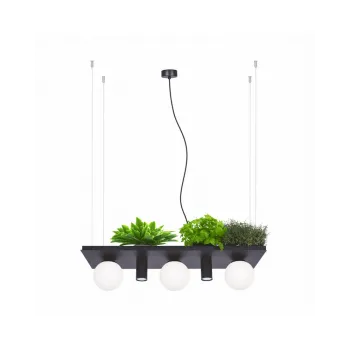 Люстра Zuma Line 5555 Shelf E14+GU10 5x10W IP20 Чорна