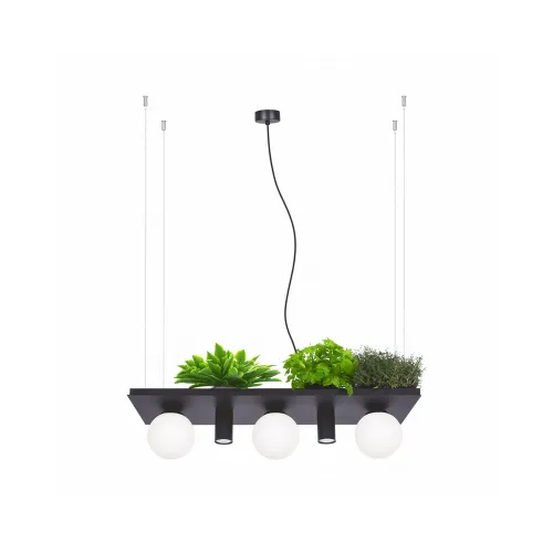 Люстра Zuma Line 5555 Shelf E14+GU10 5x10W IP20 Чорна
