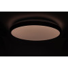 RING матовий 80W 480*60мм 3000К-6500К з ДК бронзовий