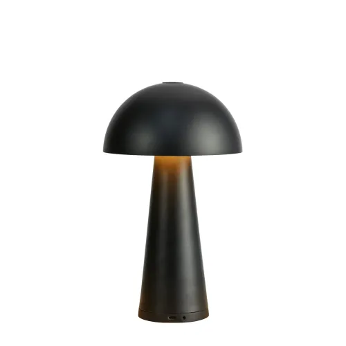 Настільна лампа Markslojd 108655 FUNGI