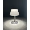 Вуличний світильники Goldlux Viola 325457