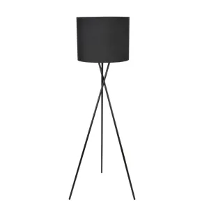 Торшер Goldlux Tekla 325815
