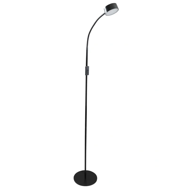 Торшер Goldlux Bruno 330093