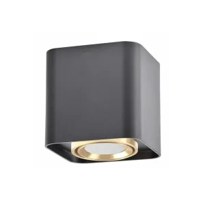 Точковий світильник Goldlux Xeno 325396
