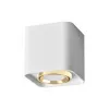 Точковий світильник Goldlux Xeno 325402