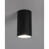Точковий світильник Nowodvorski 6836 Eye S GU10 1x10W IP20 чорний