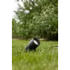Світильник вуличний Markslojd 107291 GARDEN 24