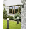 Вуличний світильники Goldlux New York 304629