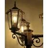 Вуличний світильники Goldlux Liguria 313430