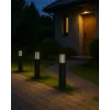 Вуличний світильники Goldlux Kuusamo 329356