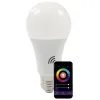 Sanico Goldlux Wi-Fi SMART LED лампа E27 A60 11W WARM 2700K~COLD 6500K + RGB TUYAsmart – 313812