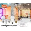 Розумна світлодіодна лампа Sanico Goldlux Wi-Fi E27 з ниткою розжарення ST64 4.9 Вт, тепла 1800K ~ 2700K, TUYAsmart – 313829