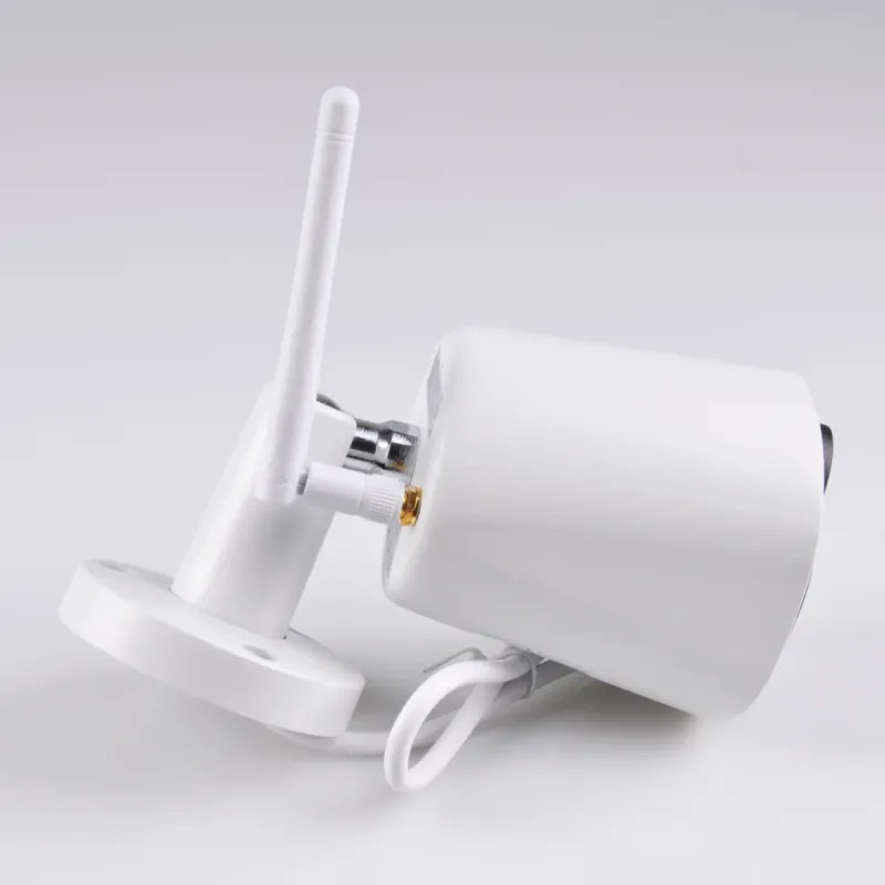 Sanico Goldlux Wi-Fi SMART камера COSMO Z1 TUYA smart IP66 – 315625