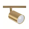 Спот Goldlux Goldi 327284